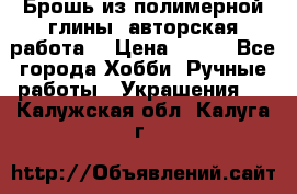 Брошь из полимерной глины, авторская работа. › Цена ­ 900 - Все города Хобби. Ручные работы » Украшения   . Калужская обл.,Калуга г.